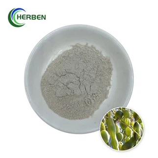 Natural Genistein Powder