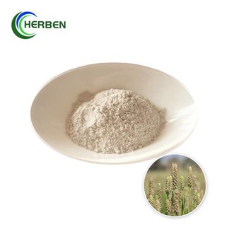 Psyllium Husk Powder