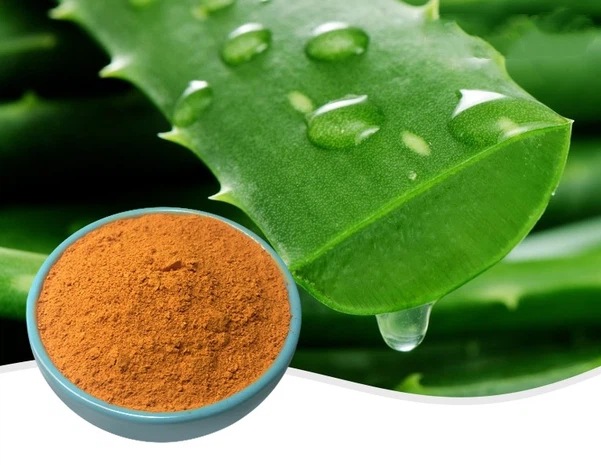 Aloe Extract Aloe Extract