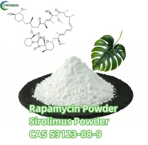 Rapamycin Rapamycin