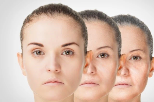 Rapamycin Powder 1 Rapamycin Powder 1