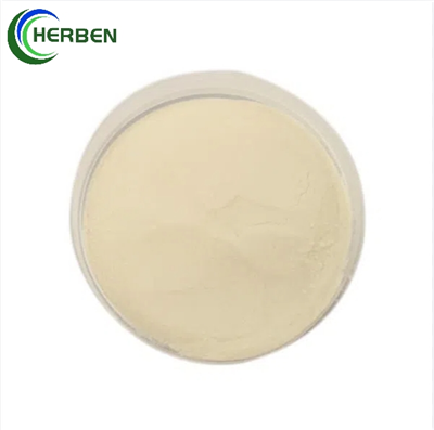 Carboxymethyl Chitosan